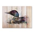 Ricki&Aposs Rugs 33 x 24 in. Crousers the Loon Inside & Outside Cedar Wall Art RI890965